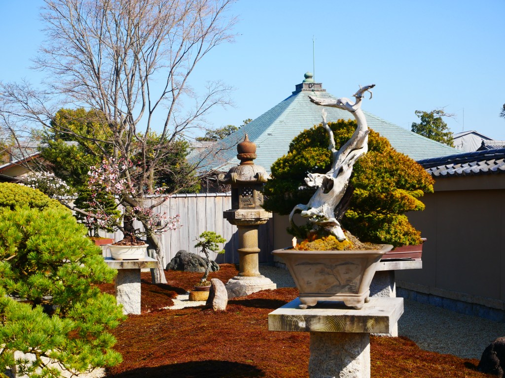 Il tempio dei&nbsp;Bonsai