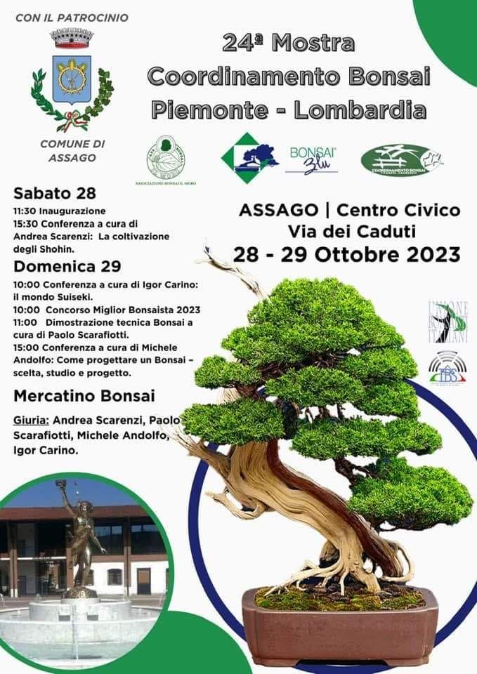 24esima Mostra Coordinamento Bonsai Piemonte-&nbsp;Lombardia