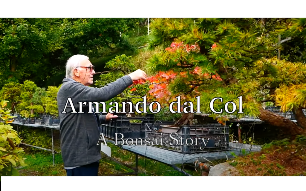 Armando dal Col- a Bonsai&nbsp;Story